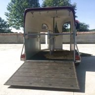 trailer trasporto cavalli torino usato