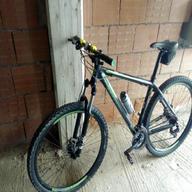 mountain bike lombardo usato