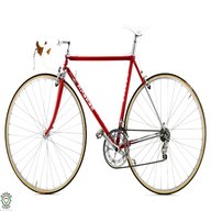 bici corsa epoca serena usato