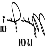 autografo michael jordan usato