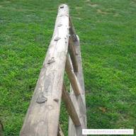 scala legno potatura usato