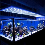aquarium lighting usato