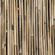 arella bambu 300 usato