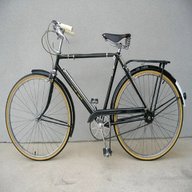 raleigh bici bike usato
