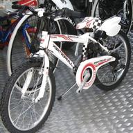 biciclette firenze usato