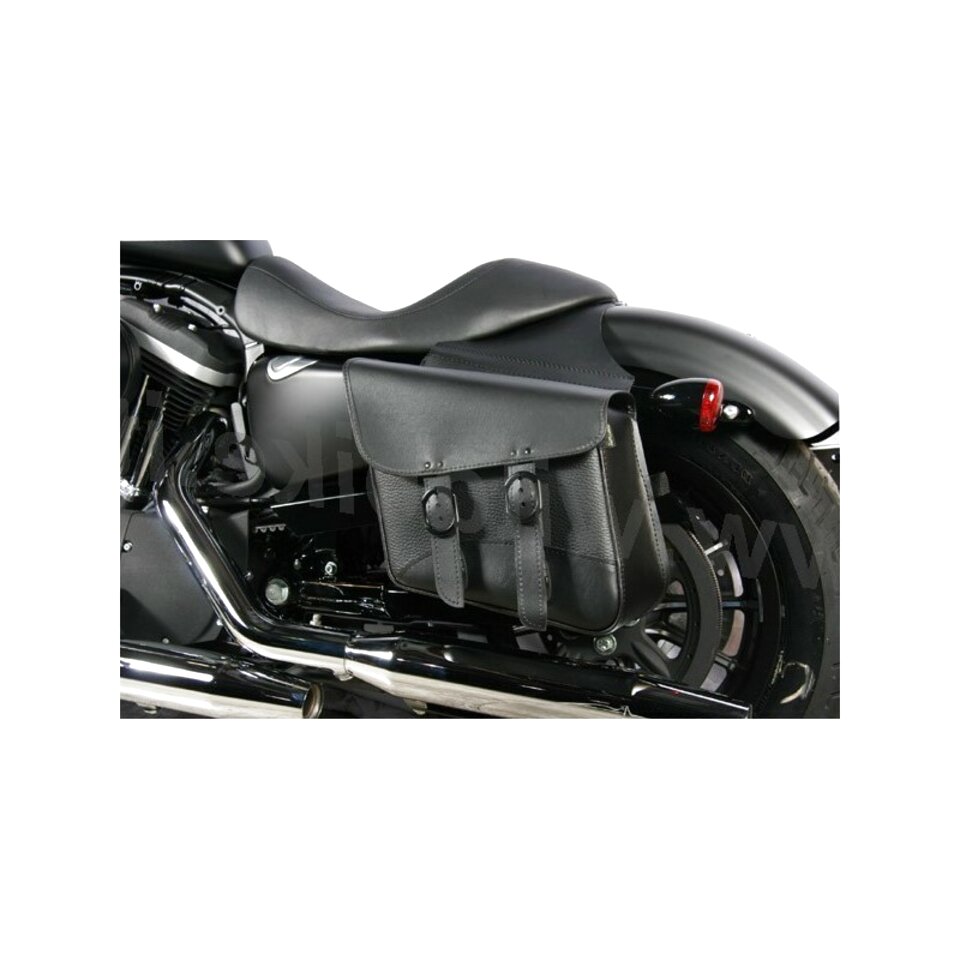 Privilegirovan Stereo Vsemogsh Borse Harley Davidson Sportster Usate Amazon Bayside Cottage Com
