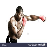 stock boxer usato