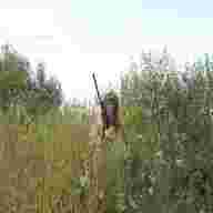 caccia colombaccio stampi usato