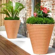 vasi piante rettangolari usato
