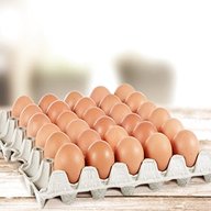 contenitore uova usato