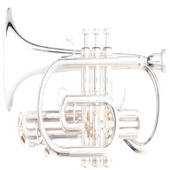 strumenti musicali tromba sib usato