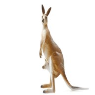kanguro usato