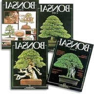 bonsai riviste usato