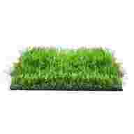 erba sintetica usato