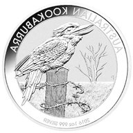 silver kookaburra usato