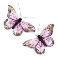 farfalle decorative usato