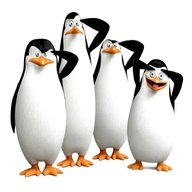 pinguini madagascar usato