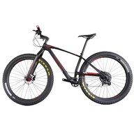 mountain bike 29 carbon usato