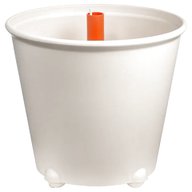 vaso riserva d apos acqua usato