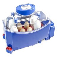 incubatrice uova automatica usato