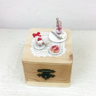 scatola miniature usato