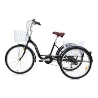 bicicletta ruote adulti usato