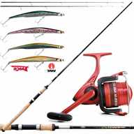 canne pesca spinning mare usato