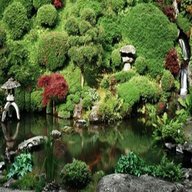 giardino giapponese usato
