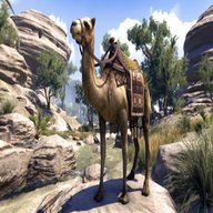 camel edition usato