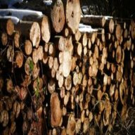 legna ardere tronchi sondrio usato