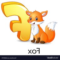 fox f usato