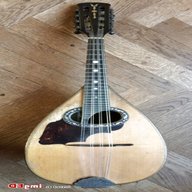 mandolino embergher usato