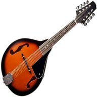 mandolino strumenti musicali usato