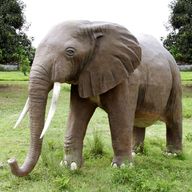 elefante statue usato