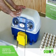 incubatrici automatica usato