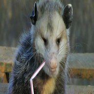 opossum usato