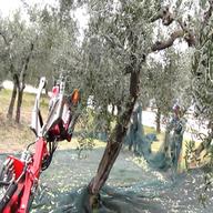 scuotitore per olive usato