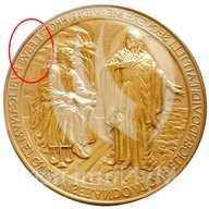 medaglia papa francesco errore usato