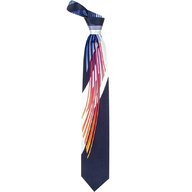 cravatta pancaldi usato