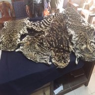leopardo pellicce usato