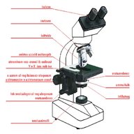 microscopio binoculare usato