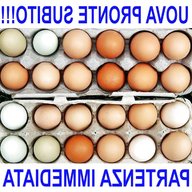 uova fertili usato