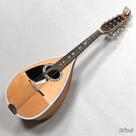 embergher mandolino usato