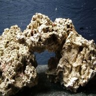 rocce acquari usato