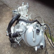 motore rgv 250 usato