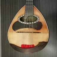 calace mandolino usato