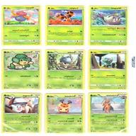 carte pokemon erba usato