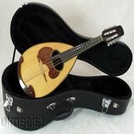 mandolino suzuki usato