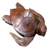 tartaruga legno usato