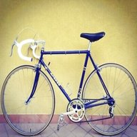 serena bici usato
